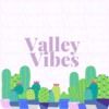 shopvalleyvibes